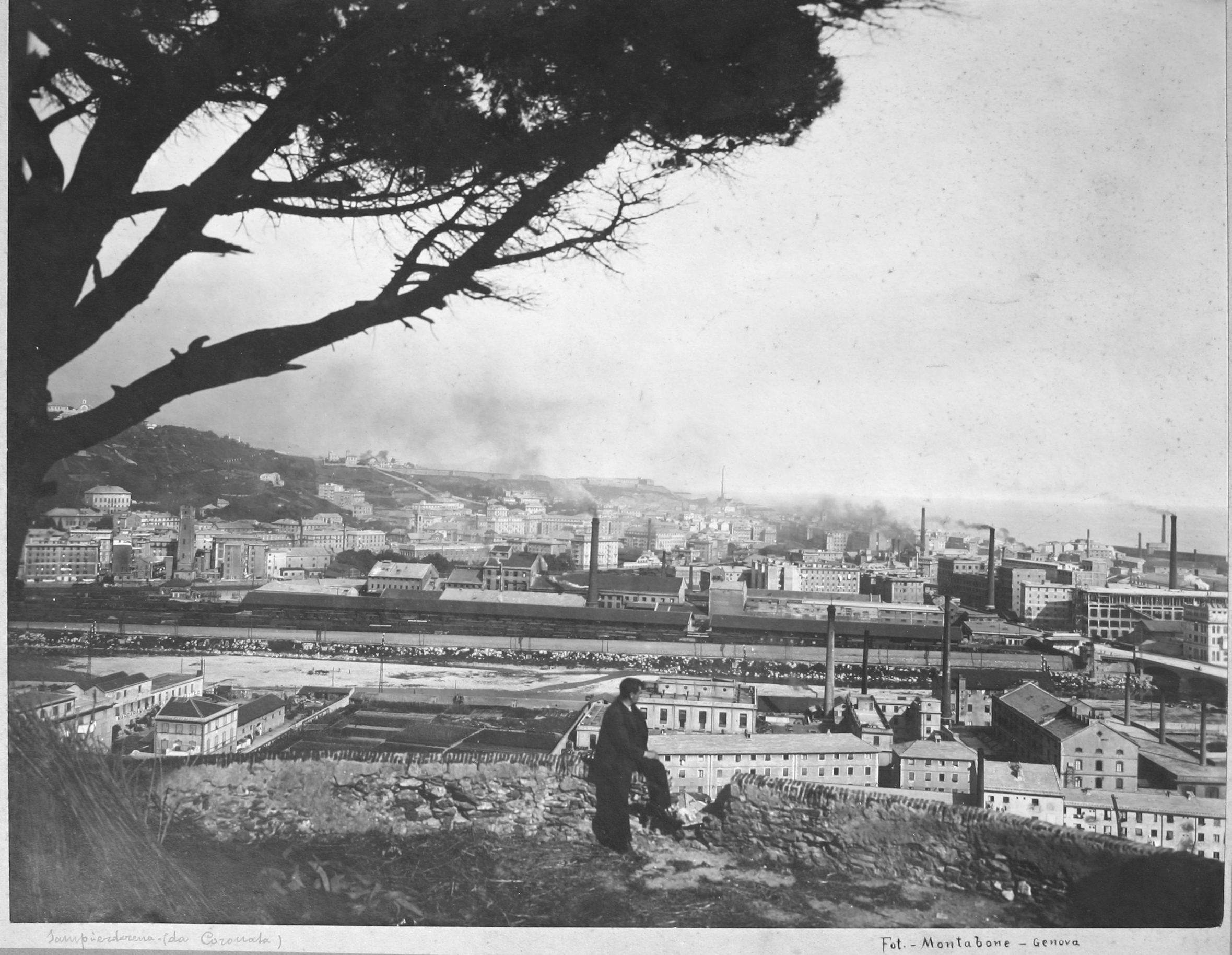 GALLINO IMG 0409