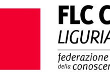 Logo Federazione lavoratori conoscenza