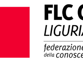 Logo Federazione lavoratori conoscenza