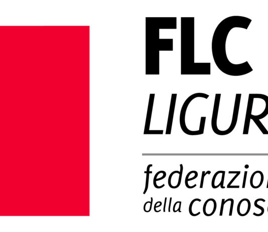 Logo Federazione lavoratori conoscenza