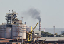 arcelor mittal