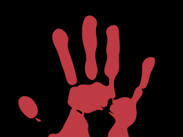 Giornata Internazionale contro la Violenza sulle Donne 2024: le iniziative in Liguria