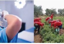 Fiom bollettino internazionale aprile 2020