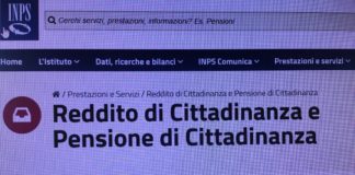 reddito di cittadinanza