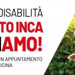 INCA-riformadisabilita-banner_v24 (6)
