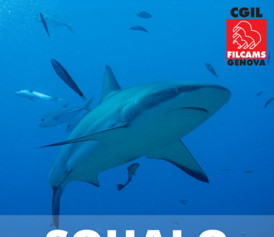 Acquario di Genova: bene la riapertura, ora il piano industriale