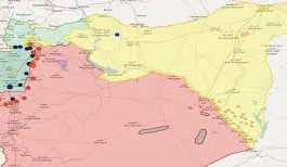 Solidarietà al popolo curdo