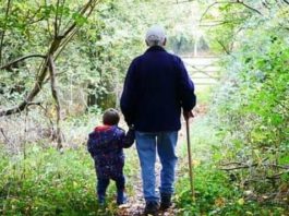 ISTAT: il 12% dei pensionati riceve meno di 500 euro/mese ; il 24% tra 500 e 1000 euro/mese