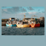 Porto di Lavagna: Filcams Cgil “Il Comune faccia chiarezza sulla gara e sul futuro dei lavoratori”