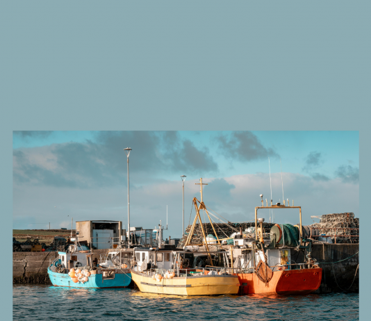 Porto di Lavagna: Filcams Cgil “Il Comune faccia chiarezza sulla gara e sul futuro dei lavoratori”