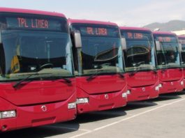 tpl-linea autobus