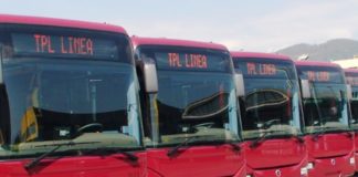 tpl-linea autobus